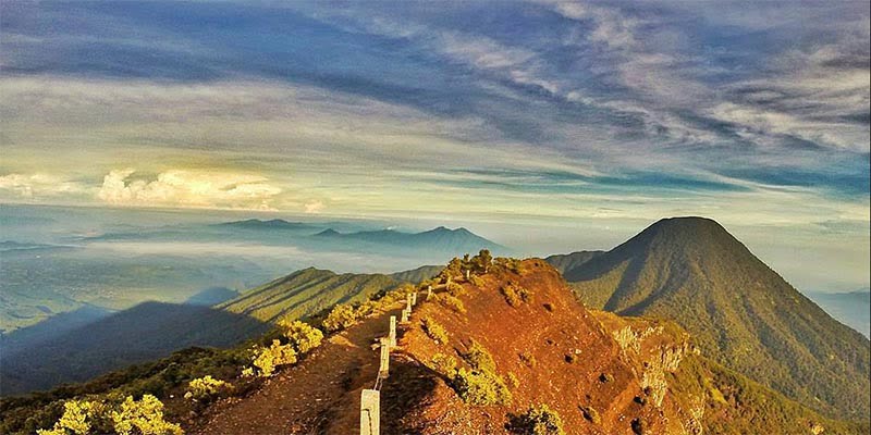 Taman Nasional Gunung Gede Pangrango (TNGGP): Wisata, Lokasi, Luas